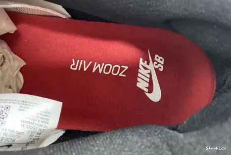 BQ6817-600 Chicago Nike SB Low J-Pack Dunk 0605